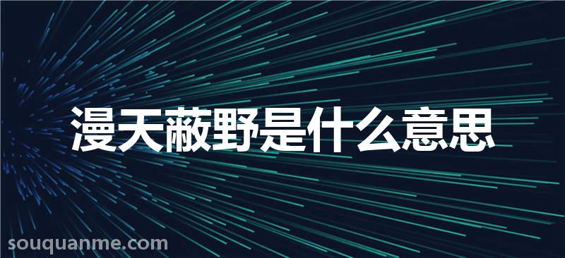 漫天蔽野是什么意思 漫天蔽野的拼音 漫天蔽野的成语解释